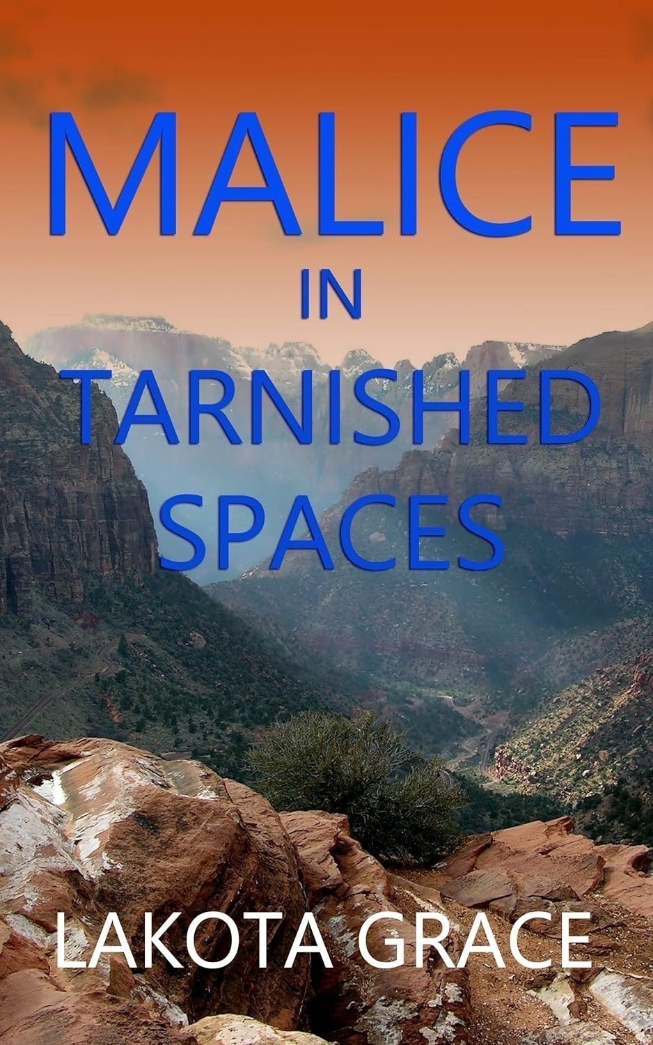 Book cover: Malice in Tarnished Spaces.