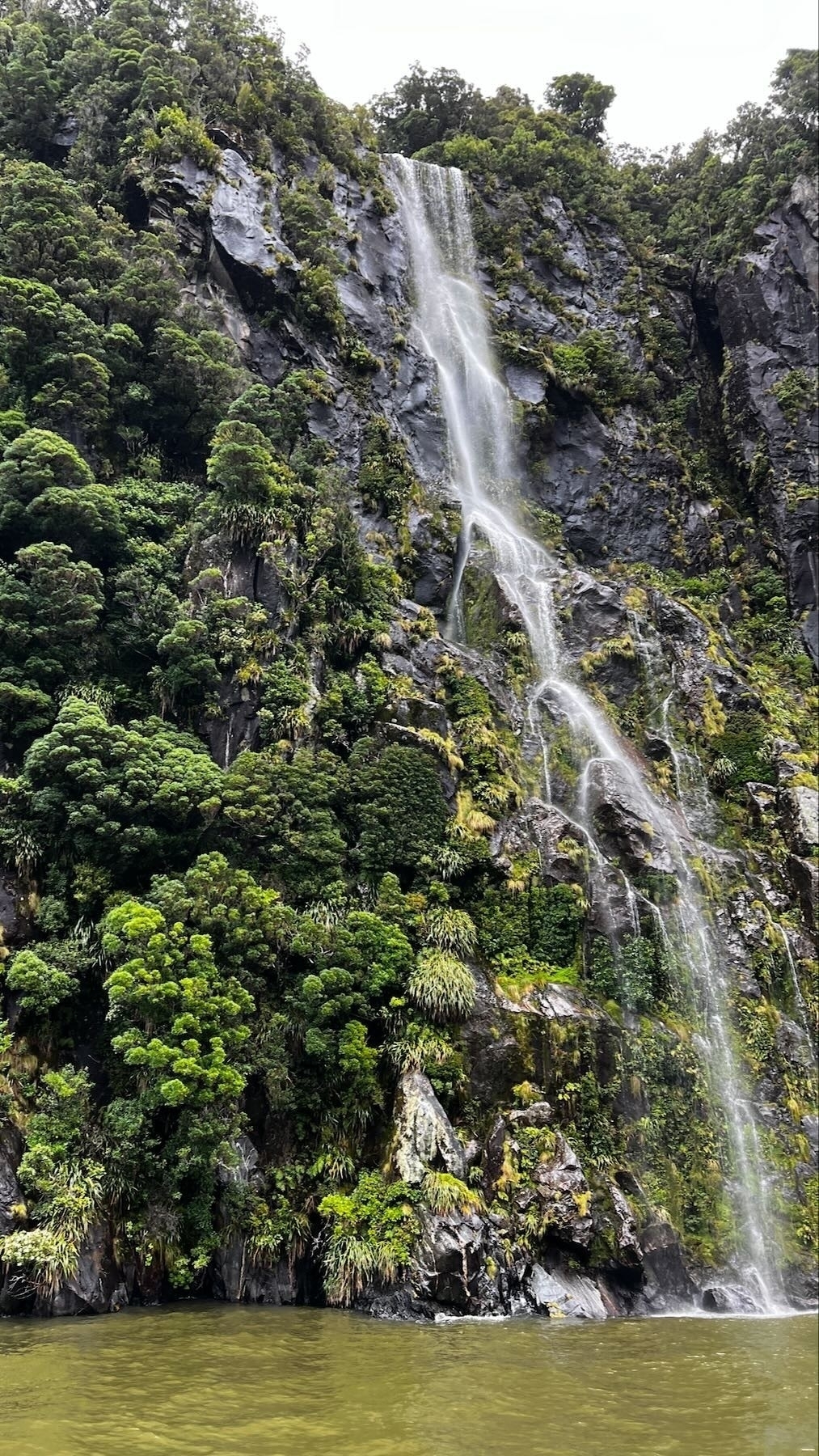 Waterfall down bush-clad cliff face. 