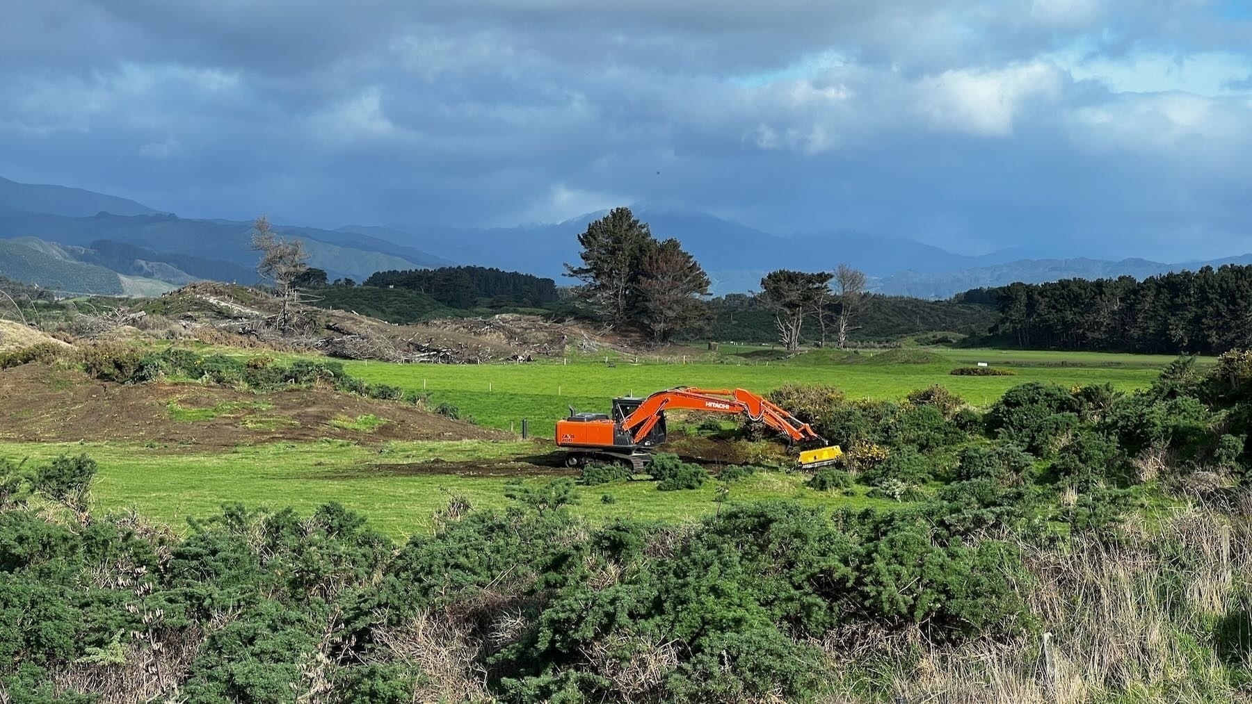 A big orange digger with mowing attachment on the arm mows lupins in a paddock.