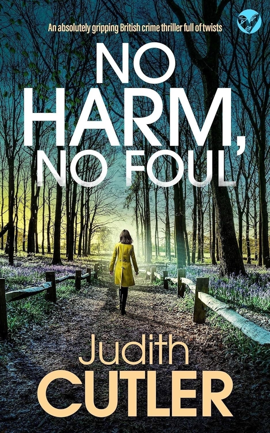 Book cover: No Harm No Foul.