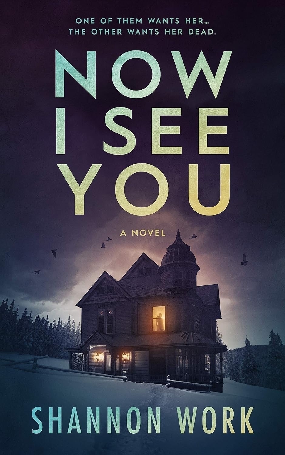 Book cover: Now I see you.