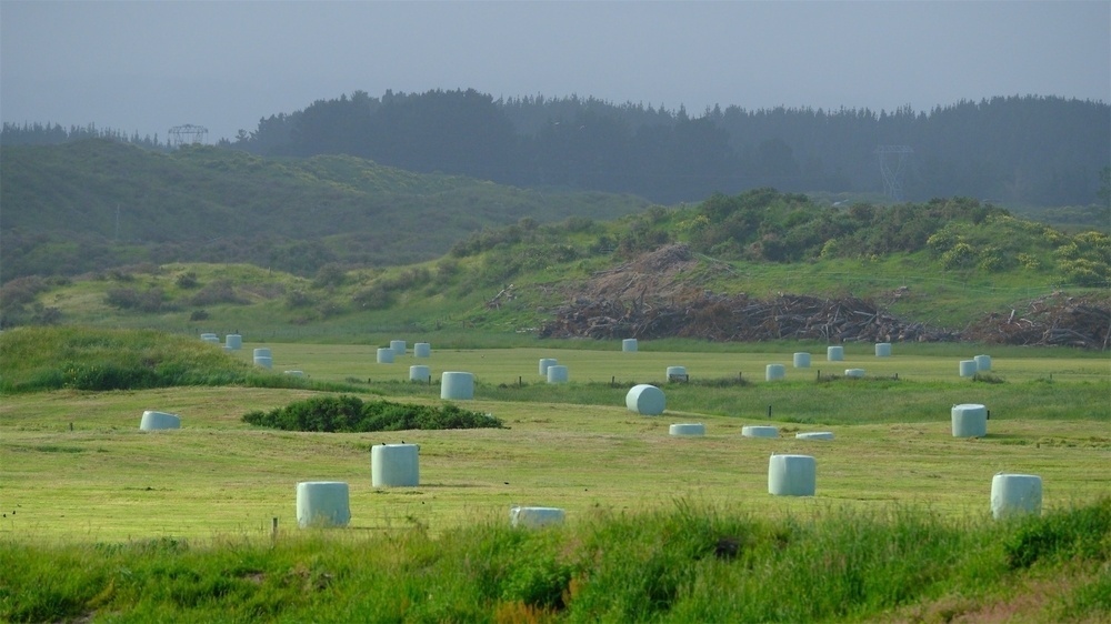 Green paddocks in sunshine with round haybales wrapped in pale green plastic. Further away and slightly misty: darker green hills.