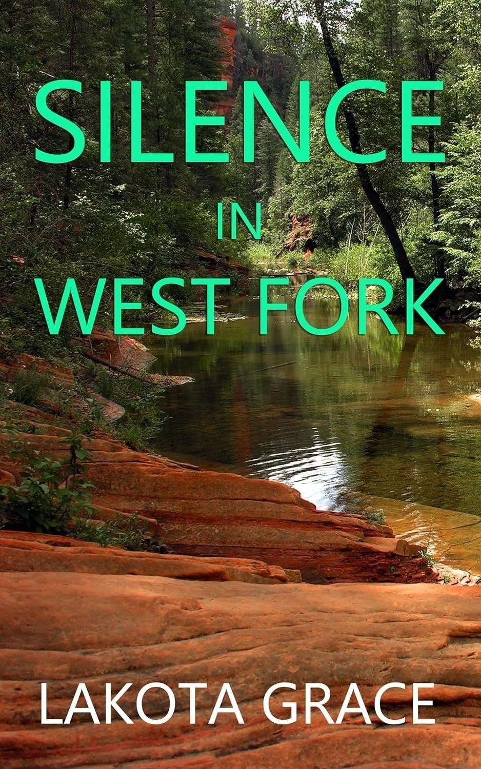 Book cover: Silence in West Fork.