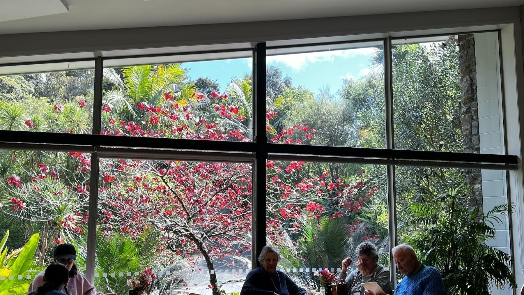 Lush vegetation seen through large windos in the cafe.