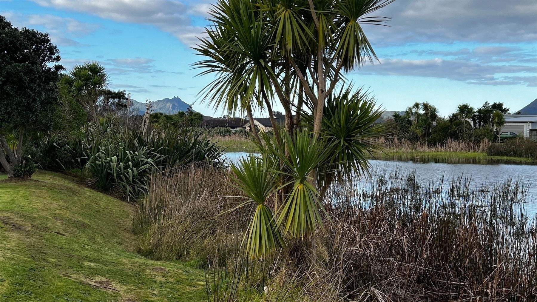 Looking north, the lake is beside lawn; in the background a mountain.