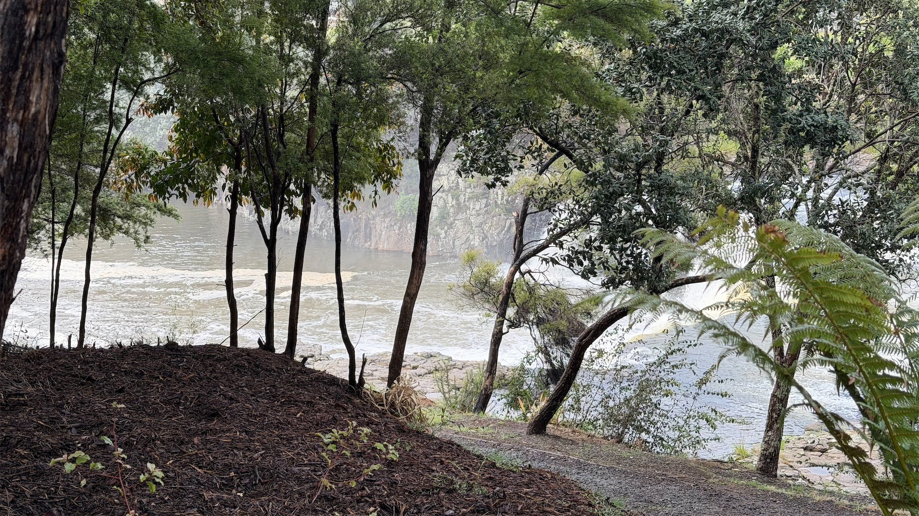 Falls, seen through greenery. 