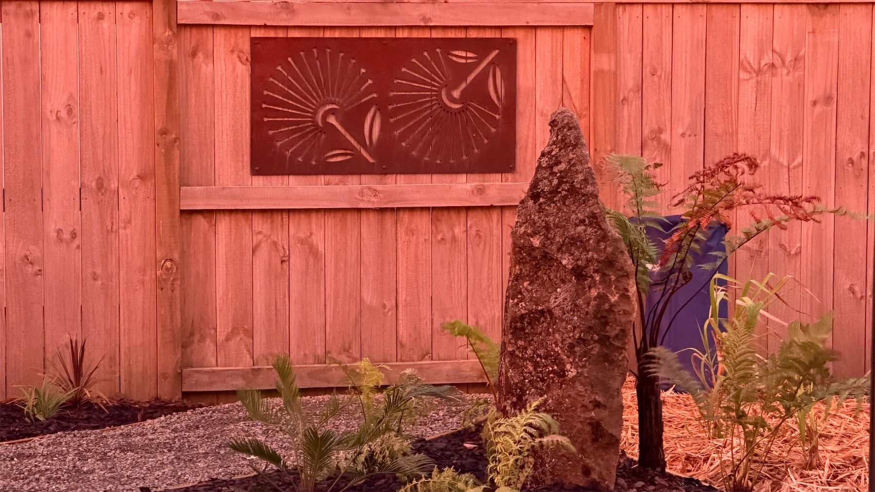 Fern garden with big rock. 