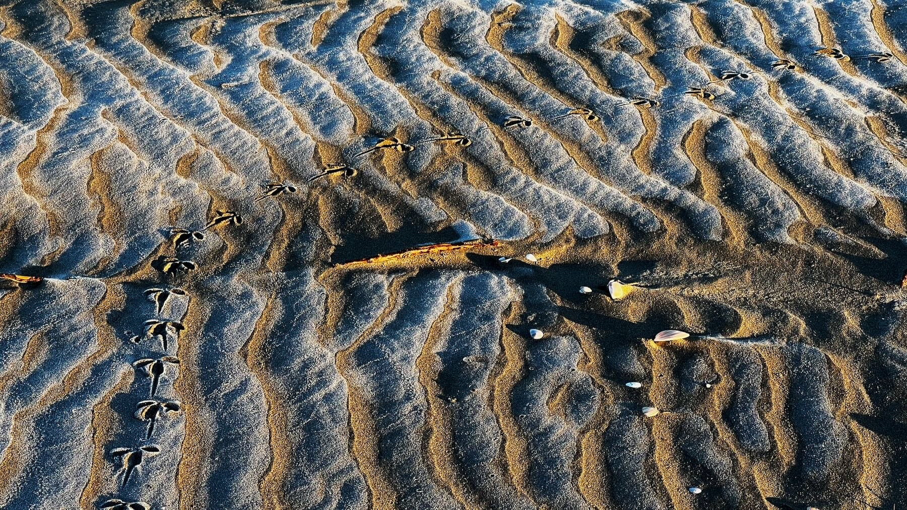 Waikawa Beach Frost on the sand on 05 July 2024.