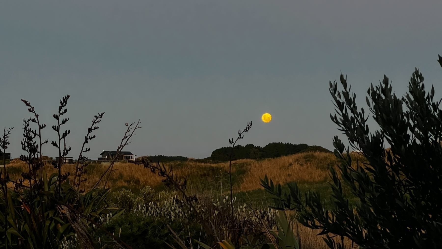 Golden moon over darkened paddocks and hills.