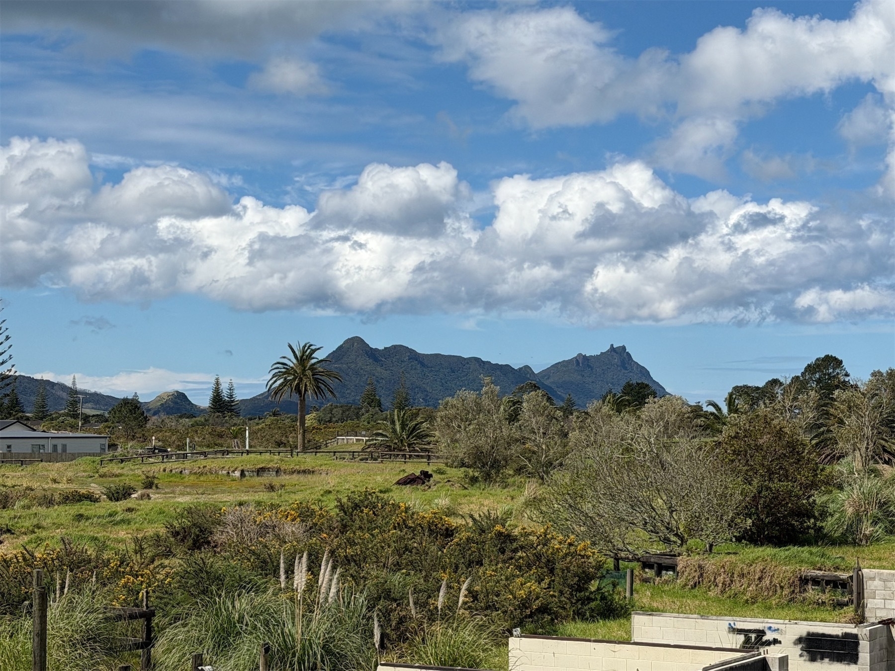 A view across open ground and past shrubs to a mountain in the background. There is blue sky with puffy clouds.
