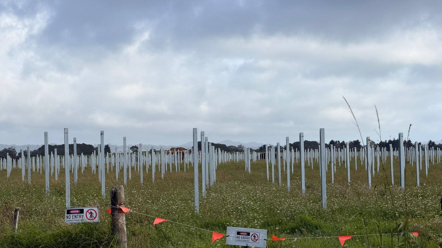 A field is filled with numerous rows of tall, white poles surrounded by grass under a cloudy sky.