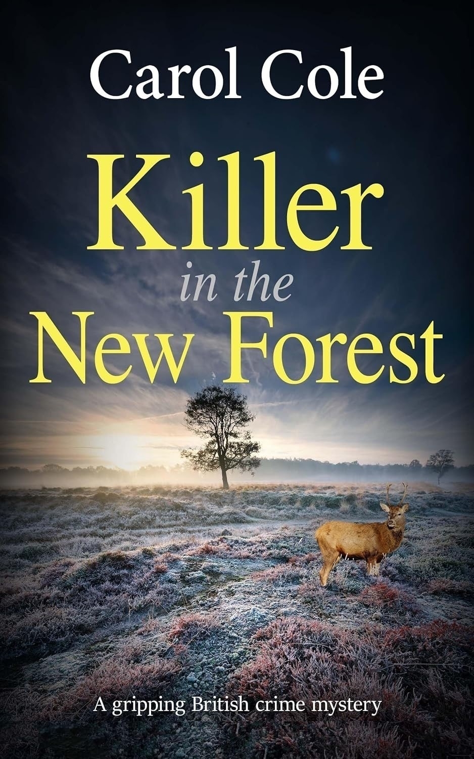 Book cover: Killer in the New Forest.