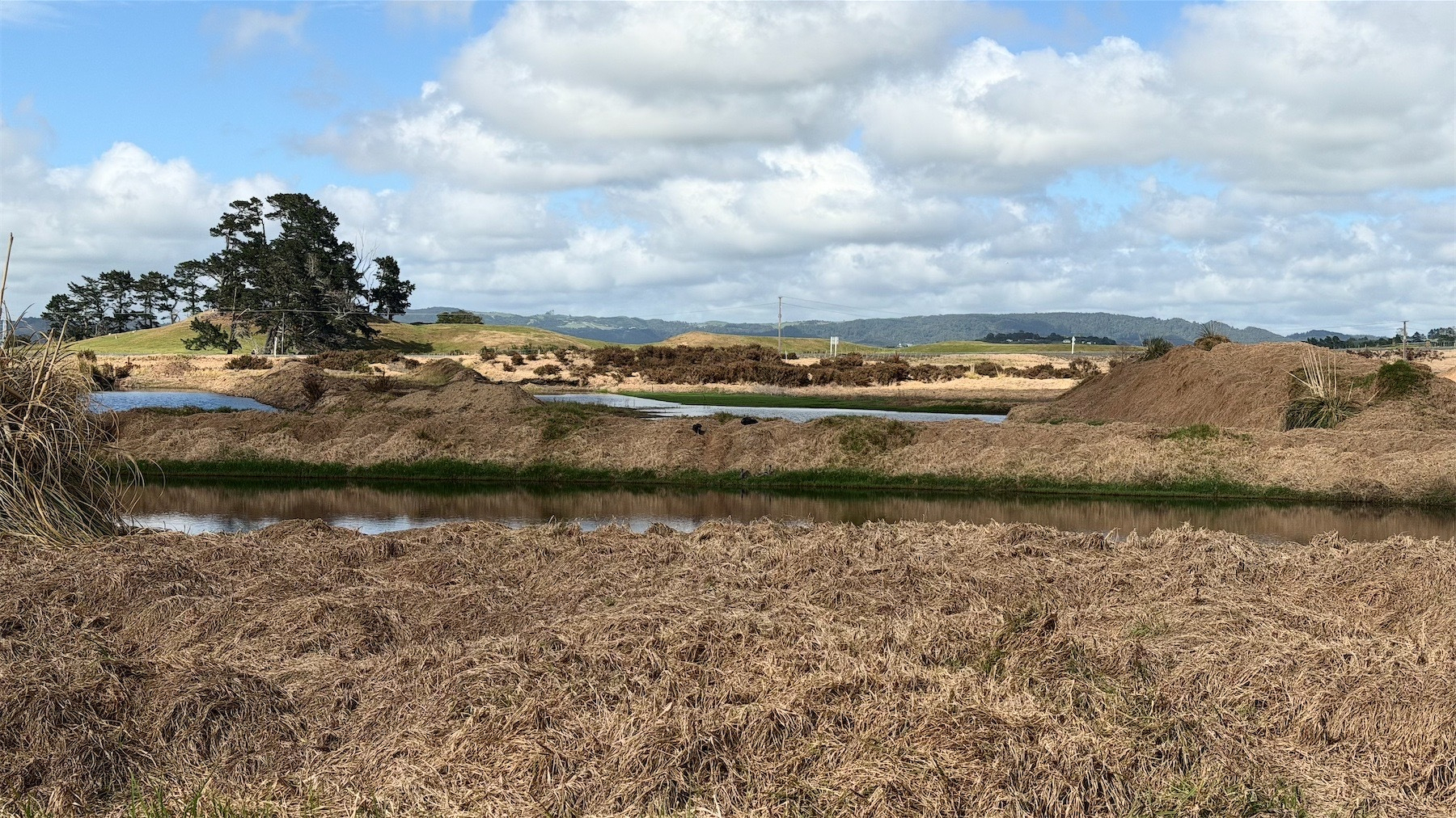 Brown grass with water in front and behind. Landscape view behind that.