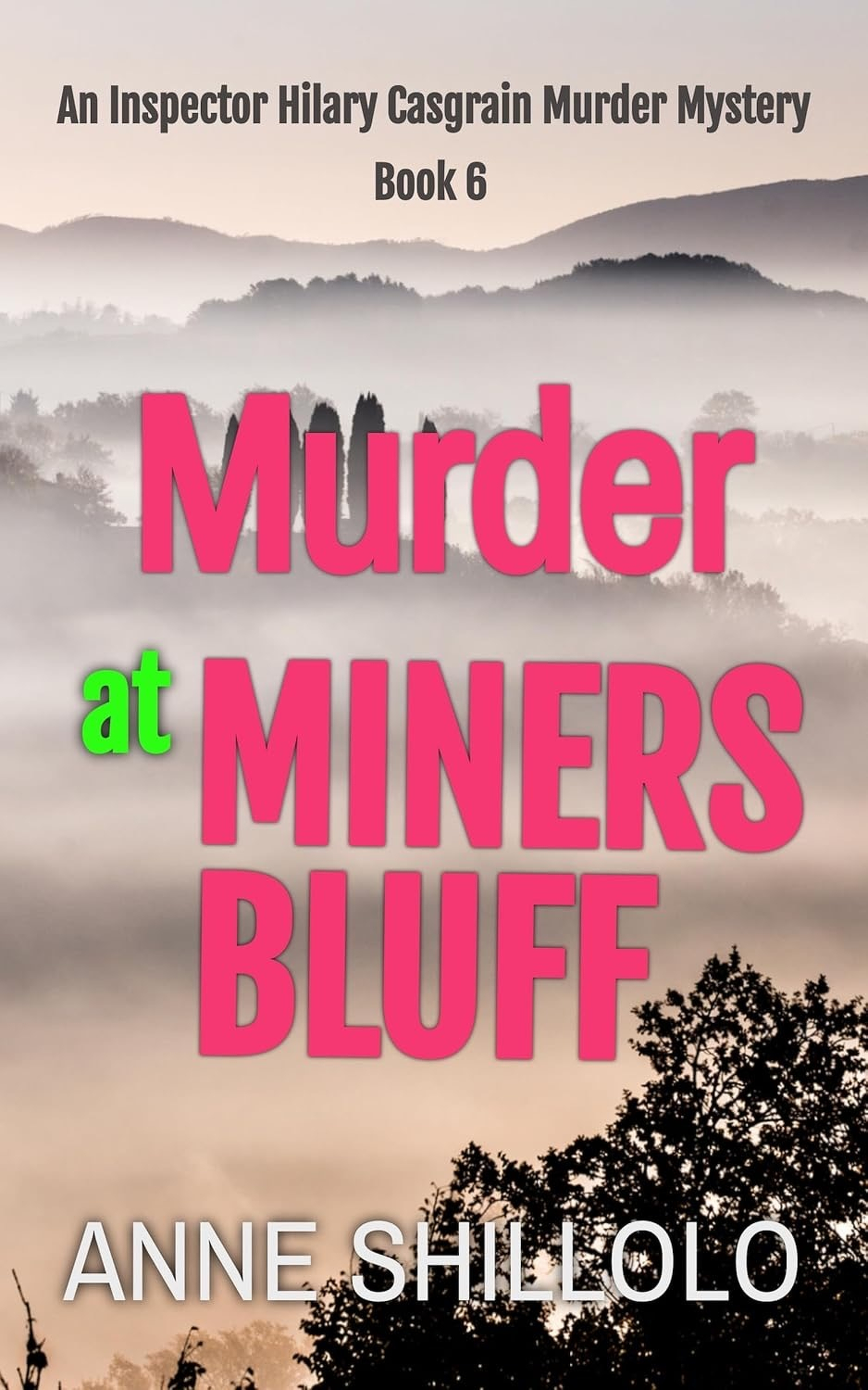 Book cover: Murder at Miners Bluff.