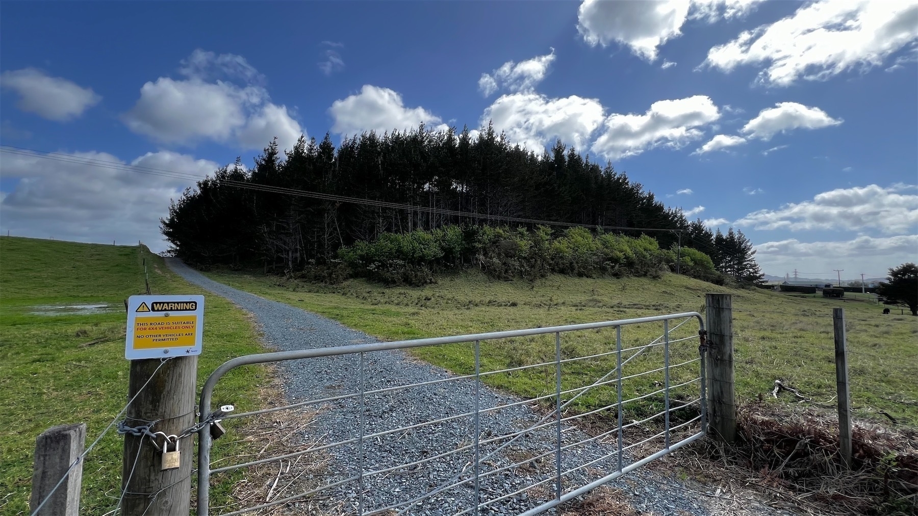 A padlocked farm gate blocks the way along a shingle track to a small hill covered in pine trees. 