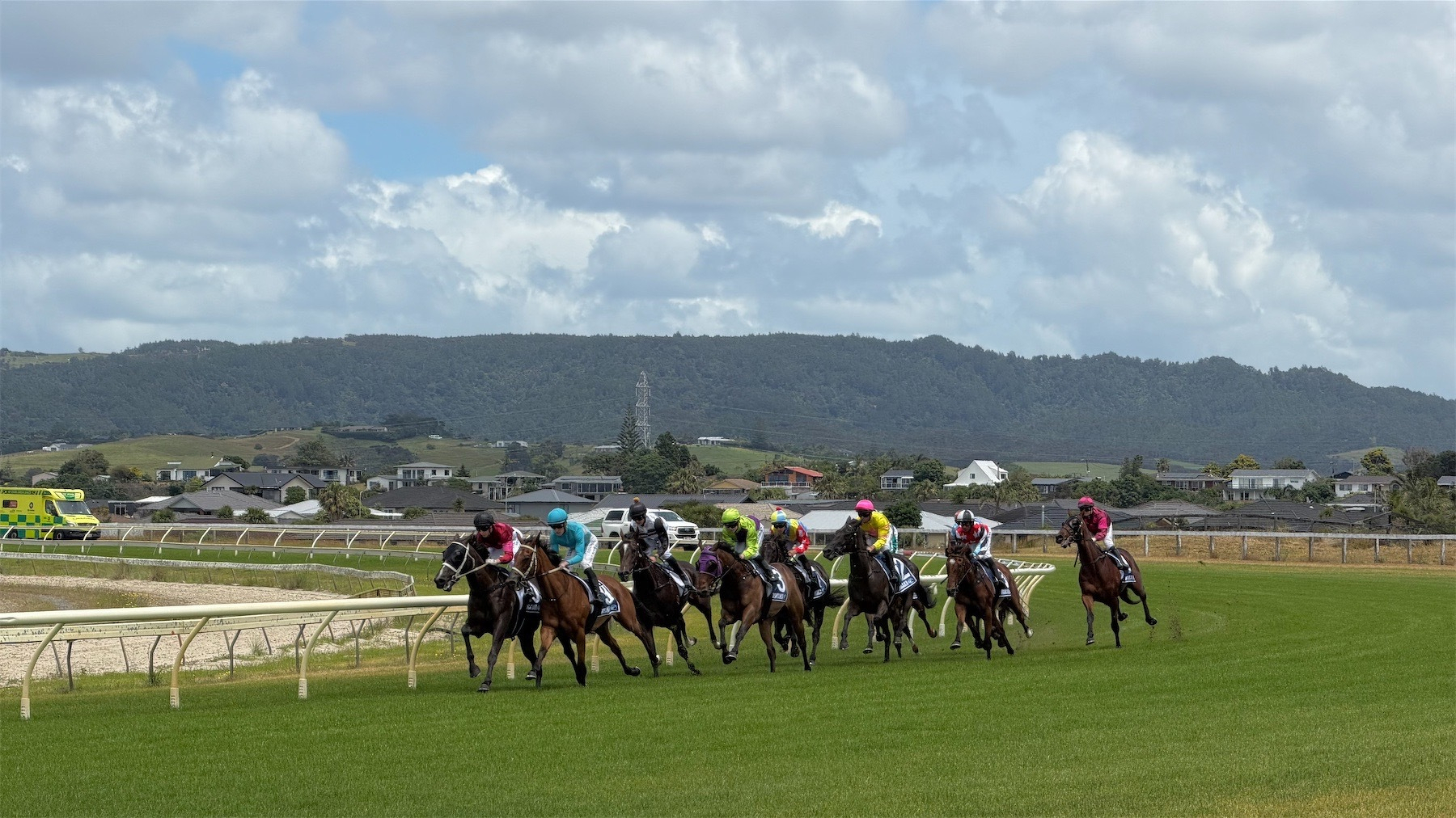 A group of horses galloping towards the photographer.  