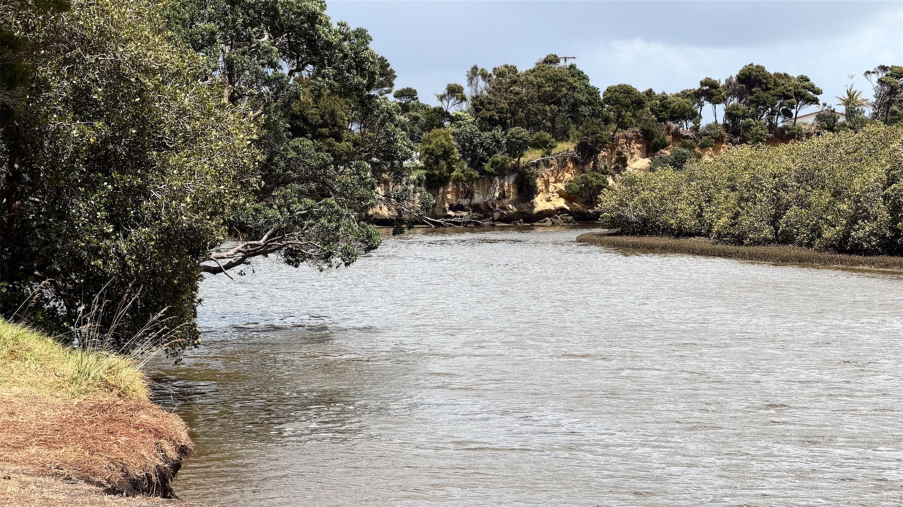 River flows between tree-lined banks, with yellow cliffs in the background.