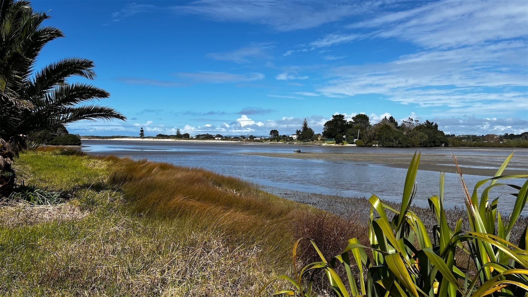River mouth with grass and reeds and some sort of palm tree on the left. Across the river are white sand, trees, and white clouds in a blue sky. .