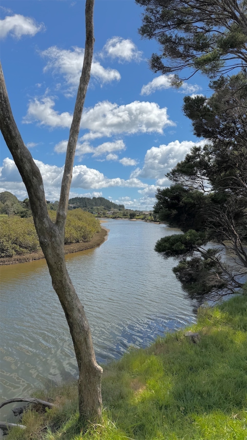 A river winds from the camera position to a small hill in the background.