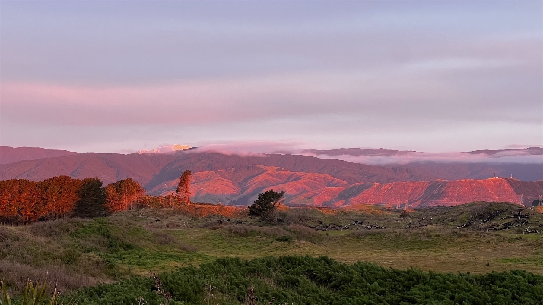 Scarlet mountains behind green paddocks. Snowtopped peaks are visible behind some strands of low mist.