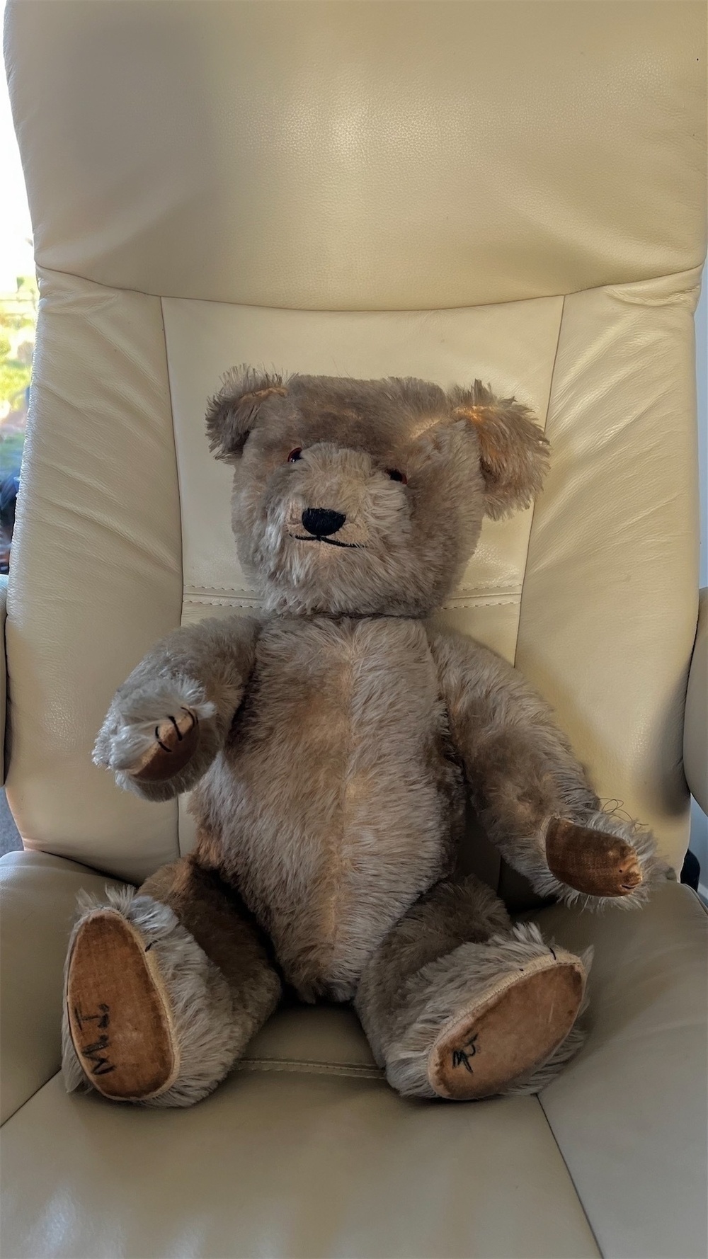 A large light brown teddy bear from the 1950s. 