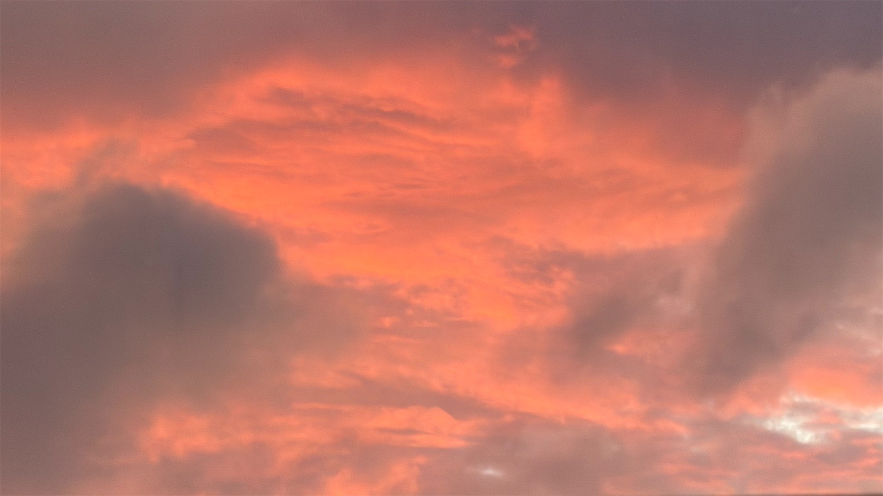 Deep pink clouds at sunrise.