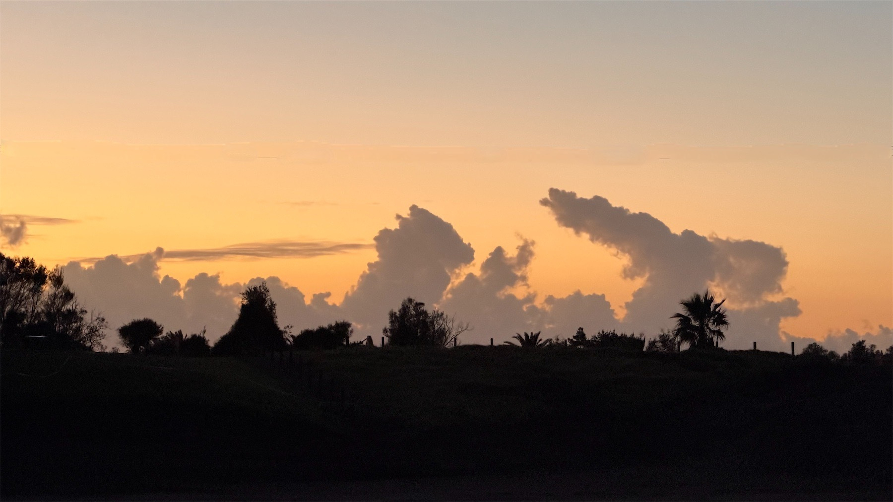 Towering clouds in irregular shapes about trees and bushes and against a dawn orange sky. 