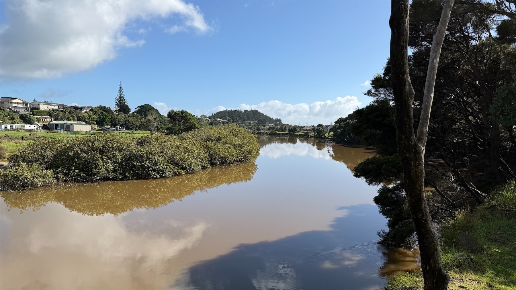 Ruakākā River, looking north.