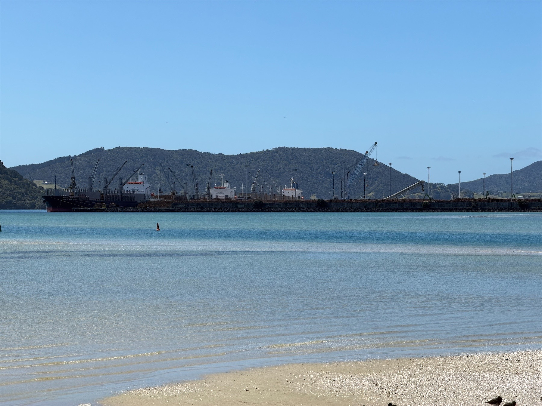 What looks like 3 ships (probably log carriers) berthed at the port. 