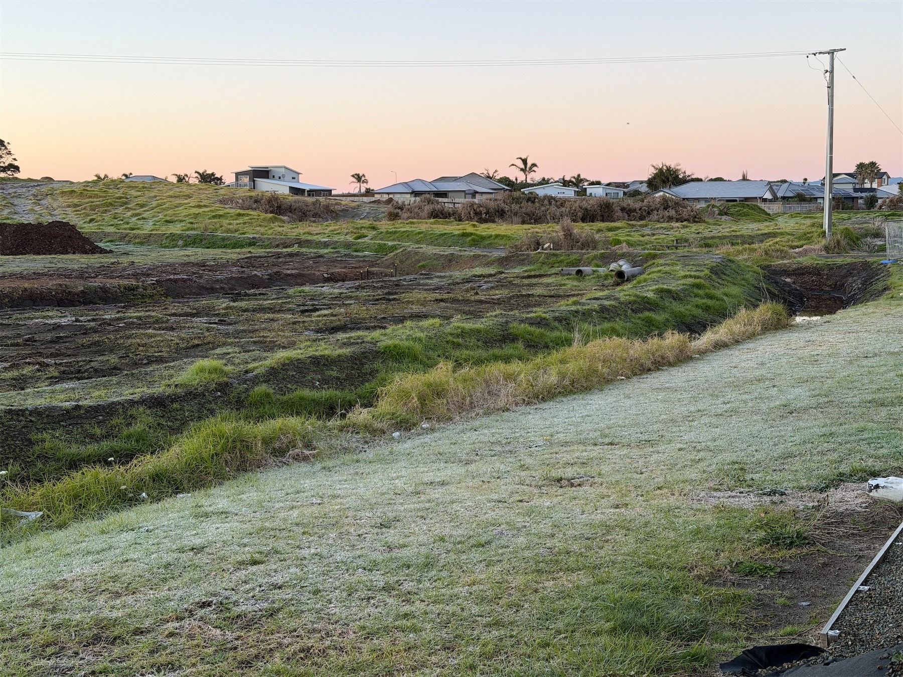 Grass and bare soil showing a light frost.