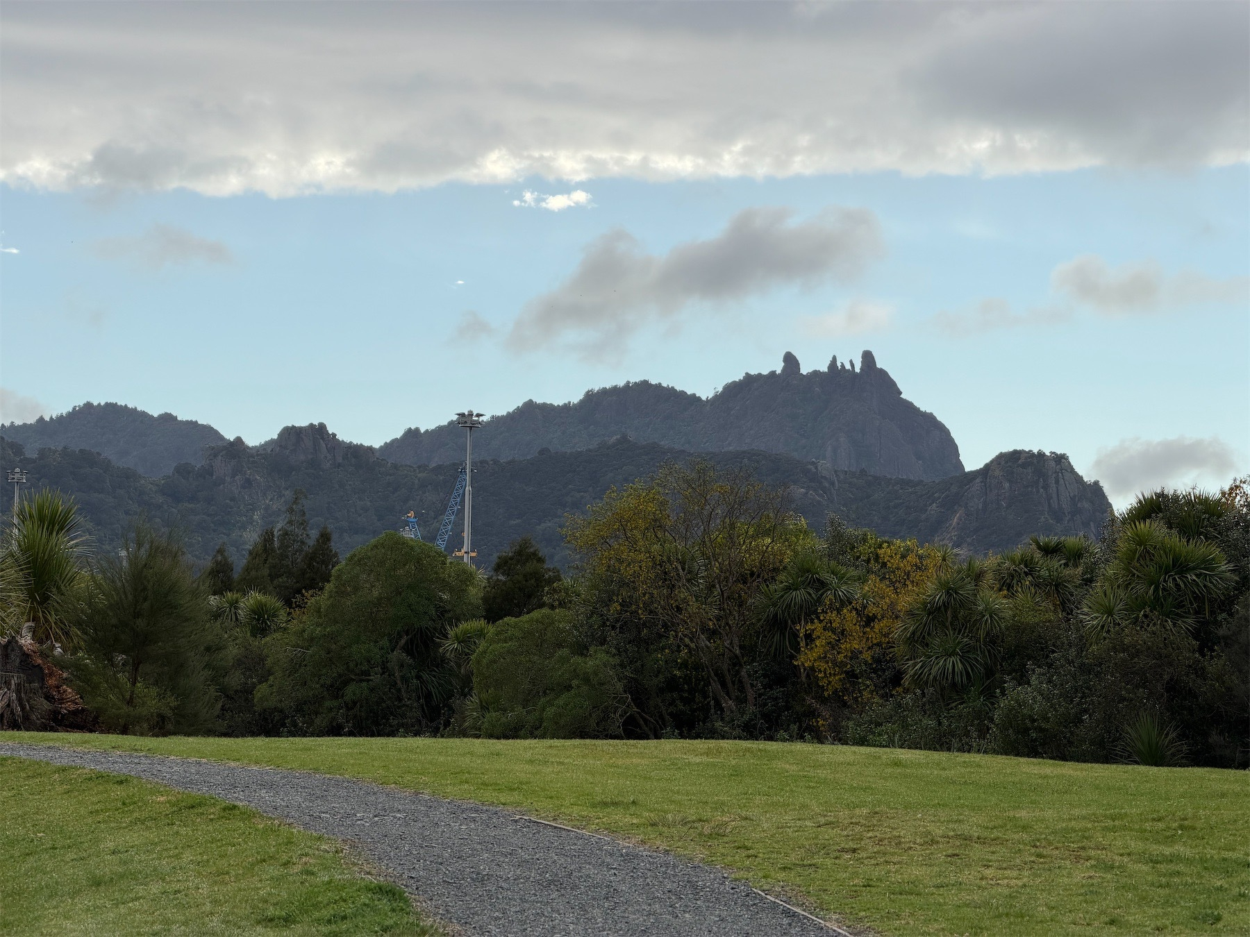 View across grass to trees and Mt Manaia. 