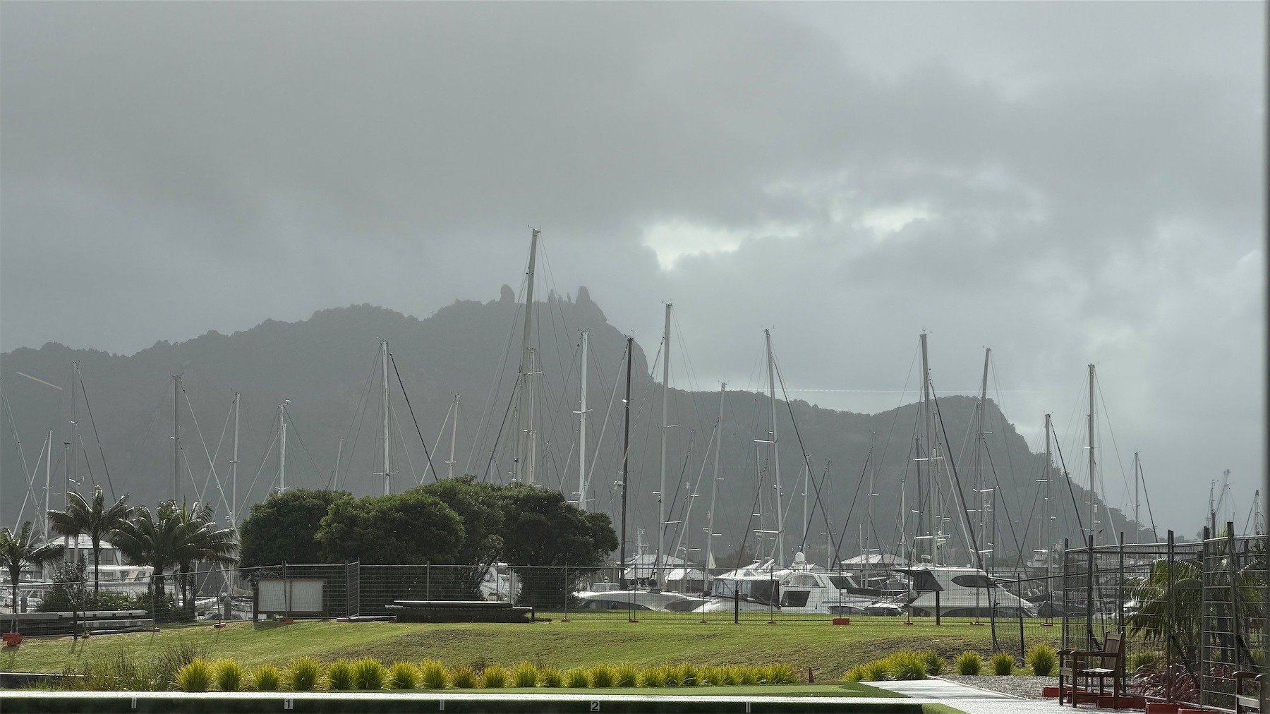 A view across lawn and sailing boats to Mount Manaia in the distance. The grass is glowing in sunlight.