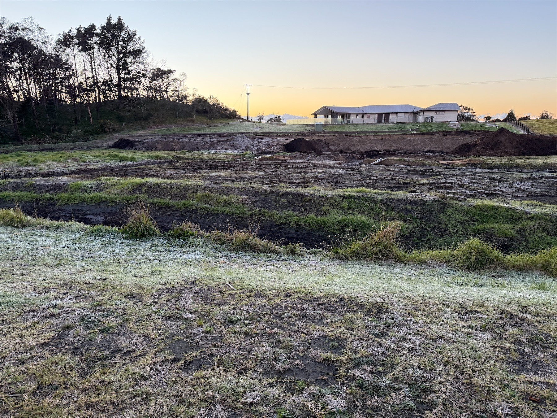 Grass and bare soil showing a light frost, house and trees in the background.