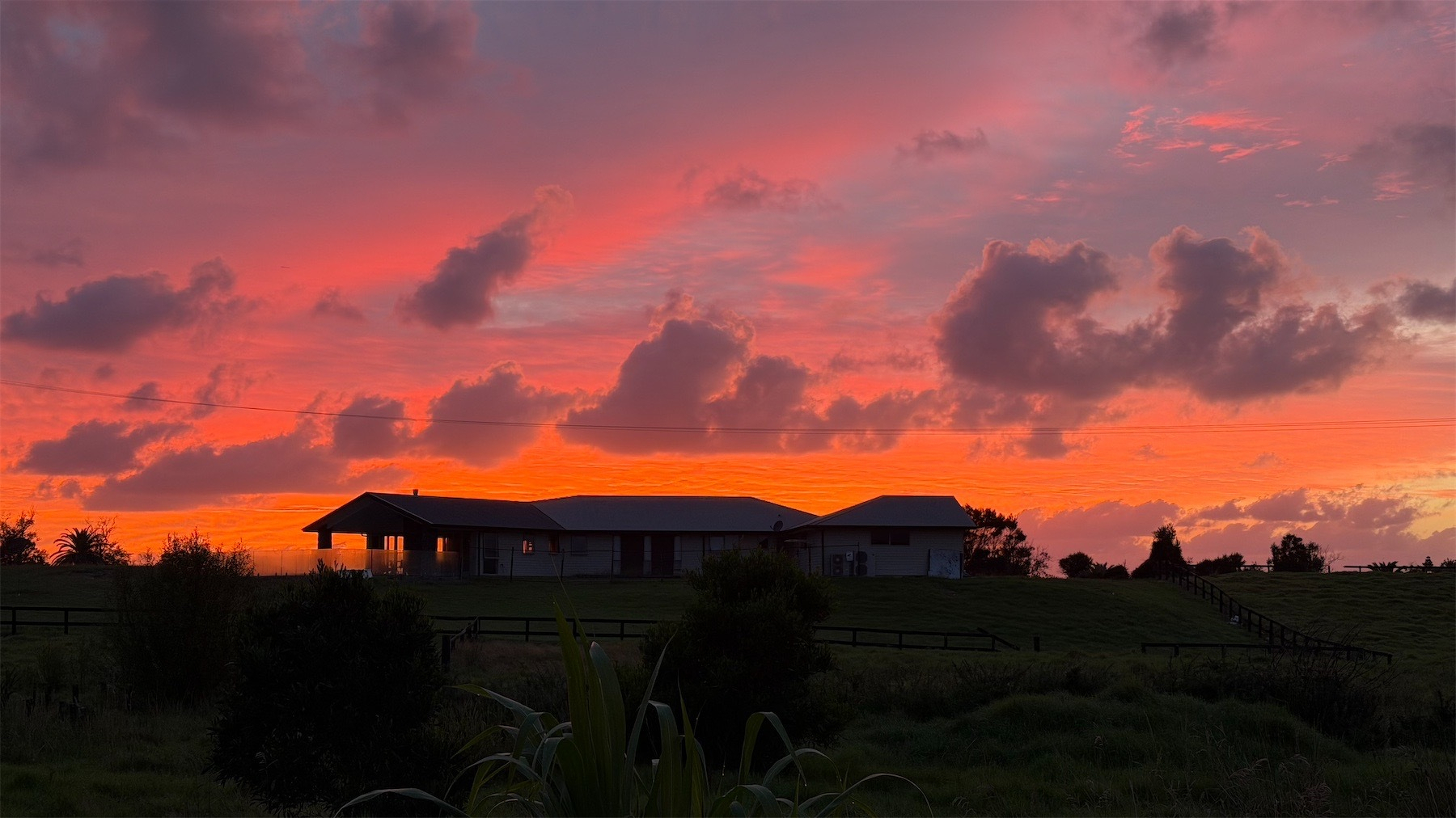 Vivid scarlet sunrise.