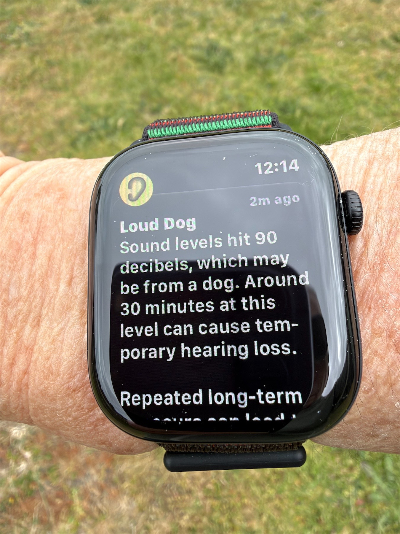The loud sound alert on my watch suggests a dog as the cause.