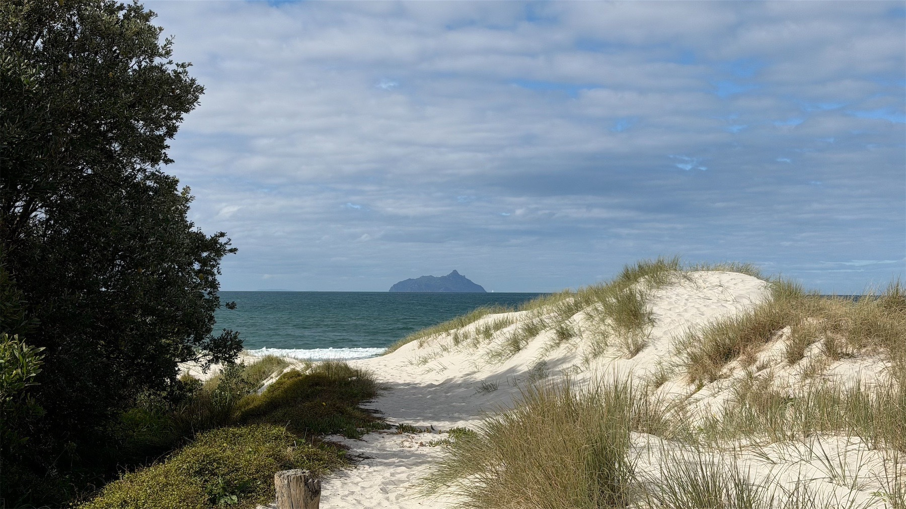 View across a white sand dune, with trees on the left to a deep blue sea with an island in the background. 