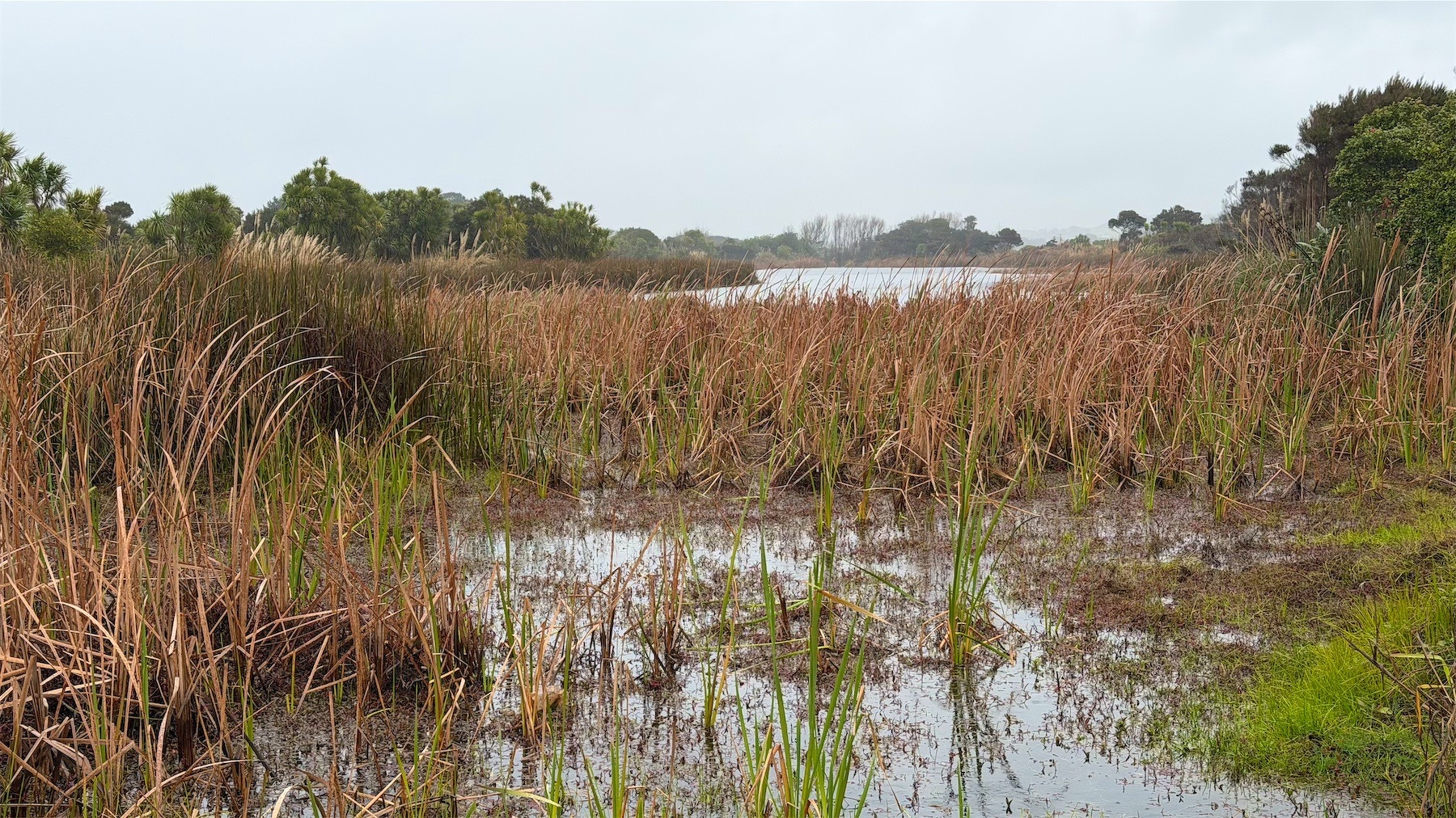 Looking down the Dune Lake from one end.