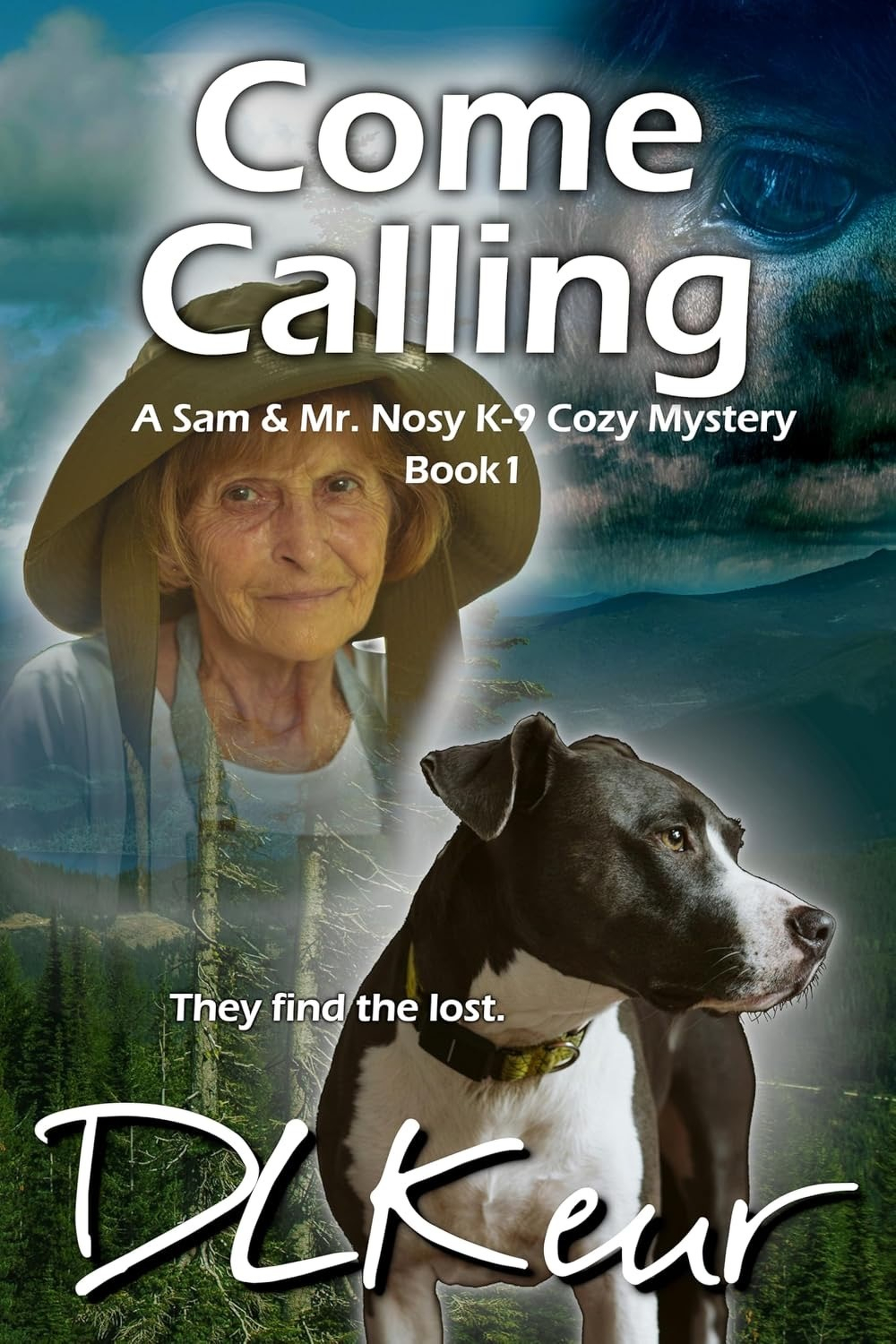Book cover: Come Calling.