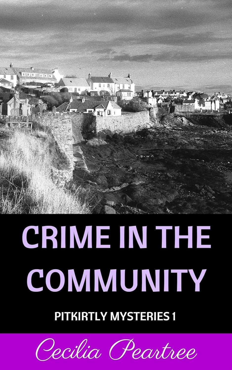 Book cover: Crime in the Community.
