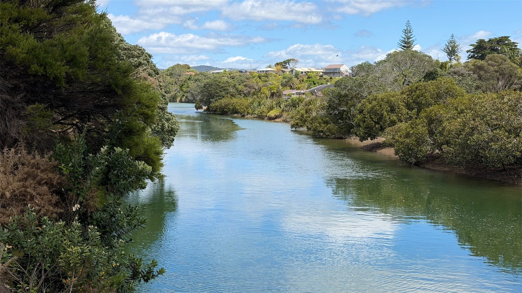 A river flows through tree and bush clad banks under a partly blue sky.