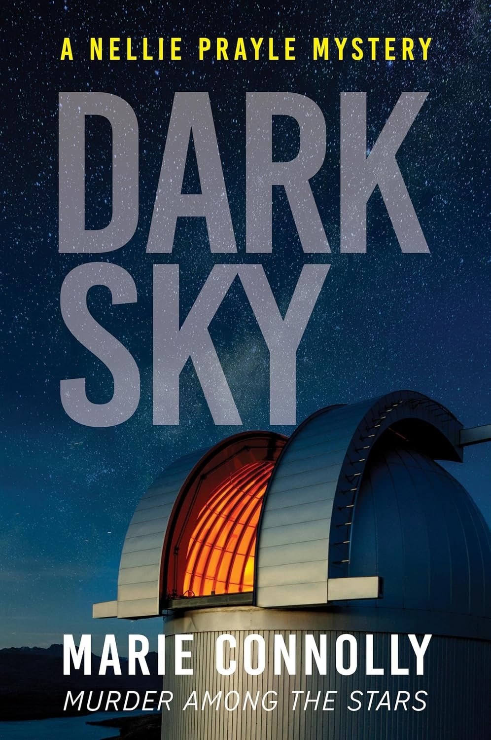 Book cover: Dark Sky.