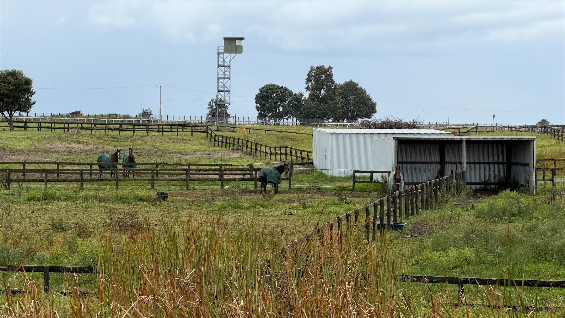 Grassy paddocks, with rail fences and several horses.