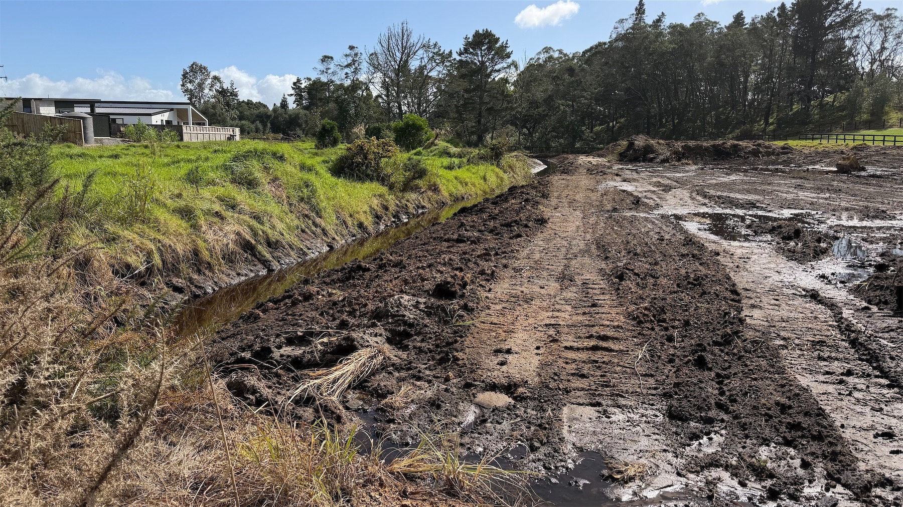 Small ditch filled with water. 
