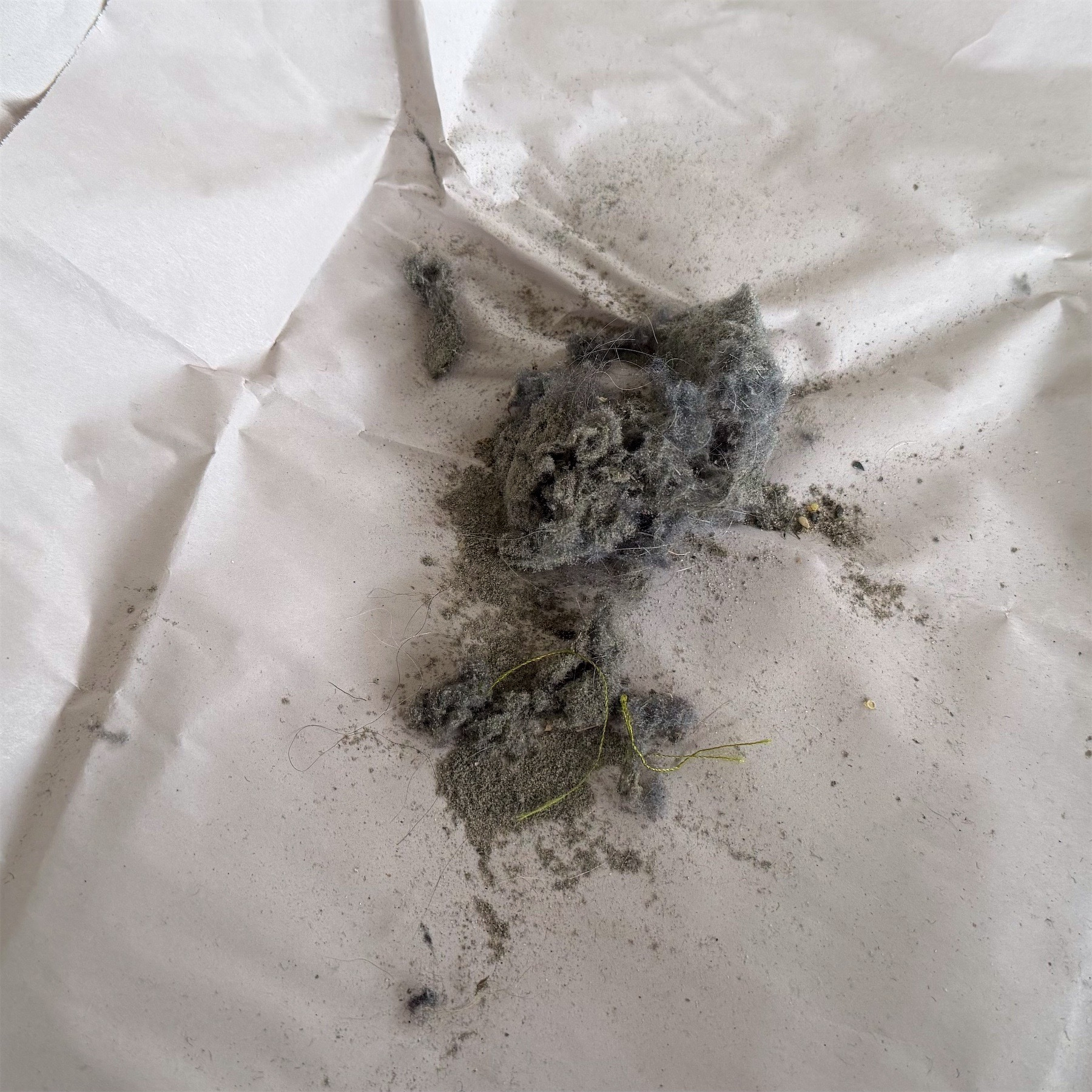 A pile of vacuum cleaner dirt on a sheet of white paper.
