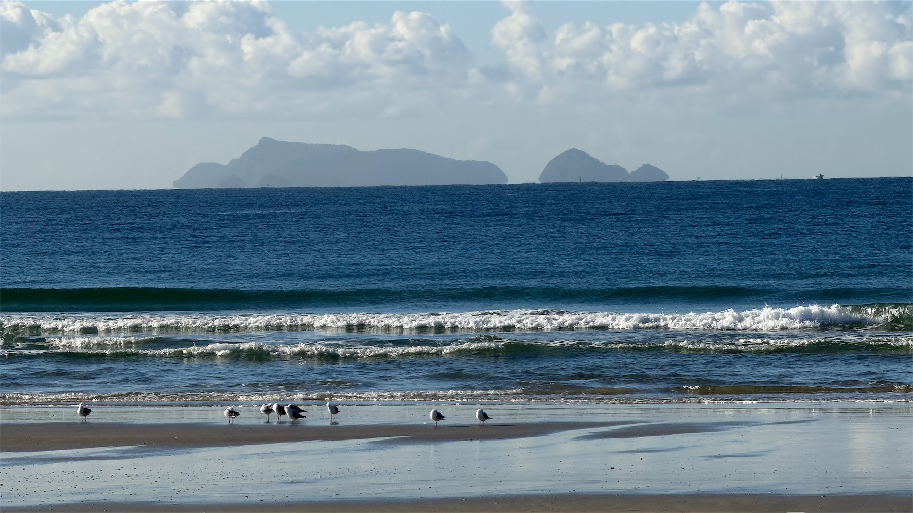 A dozen gulls at the edge of a dark blue sea, with blue sky and islands behind. 