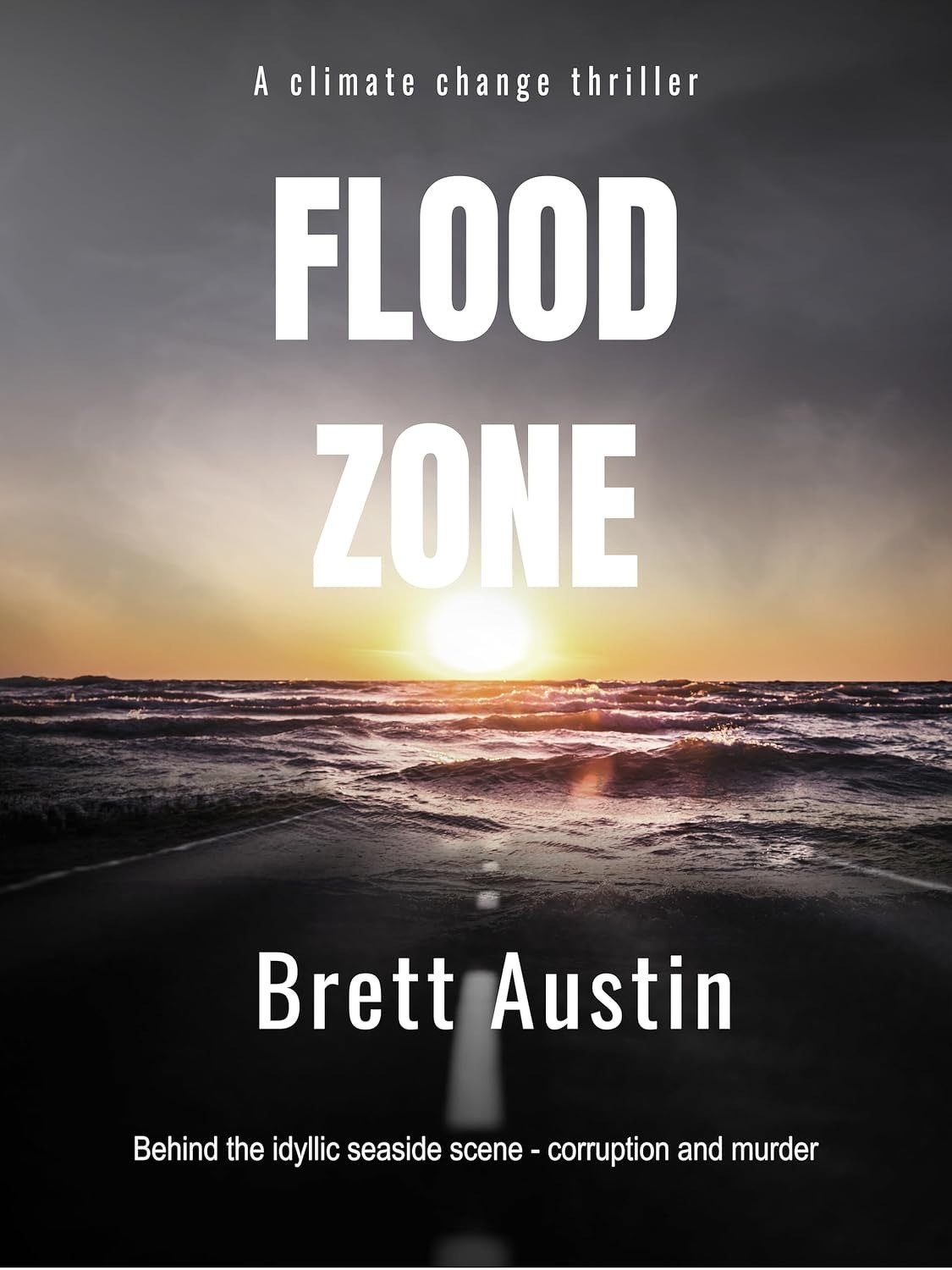 Book cover: Flood Zone.