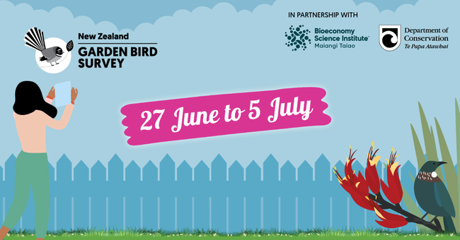 garden bird survey.png