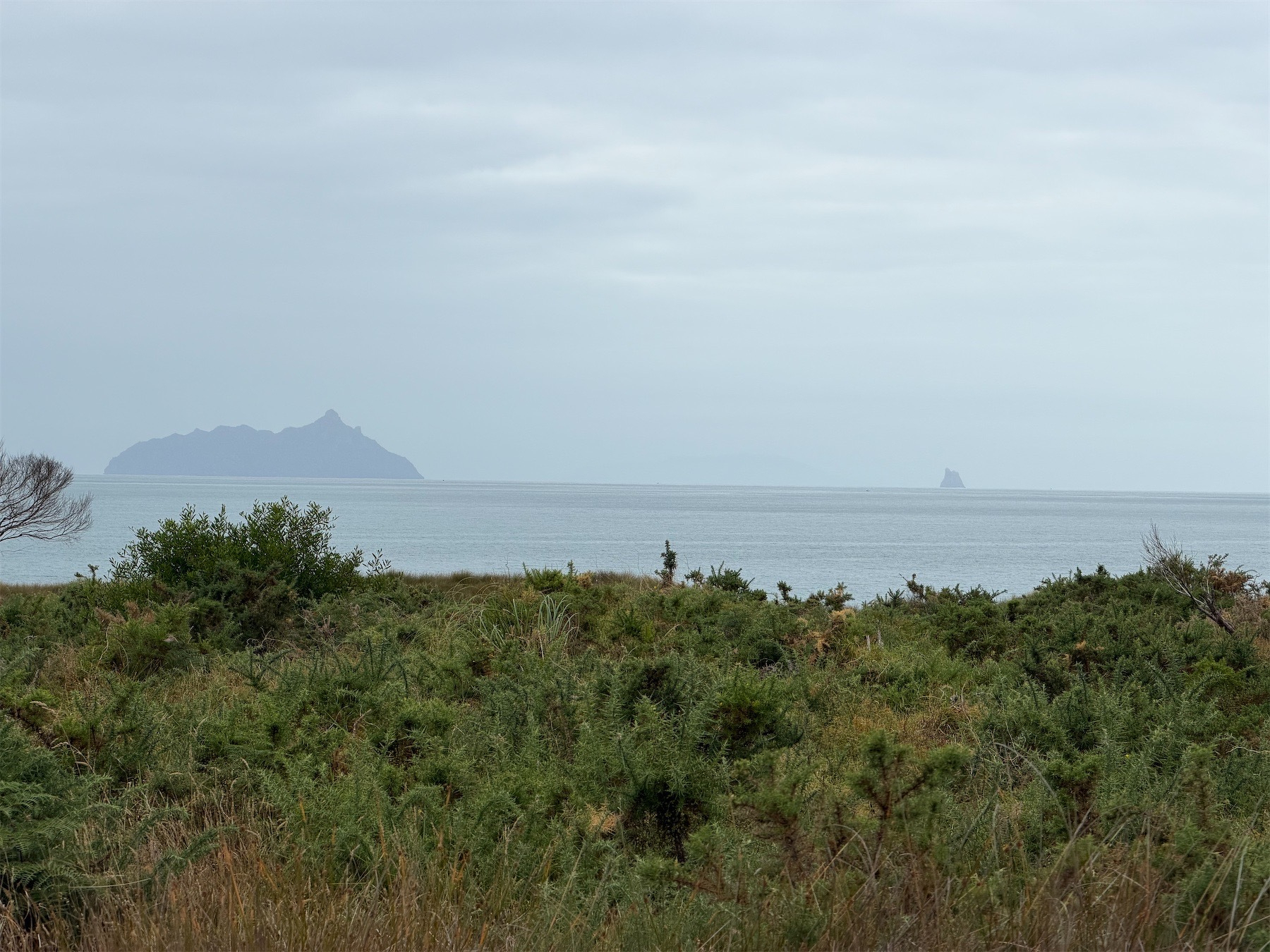 View across green bushes to sea and distant islands. 