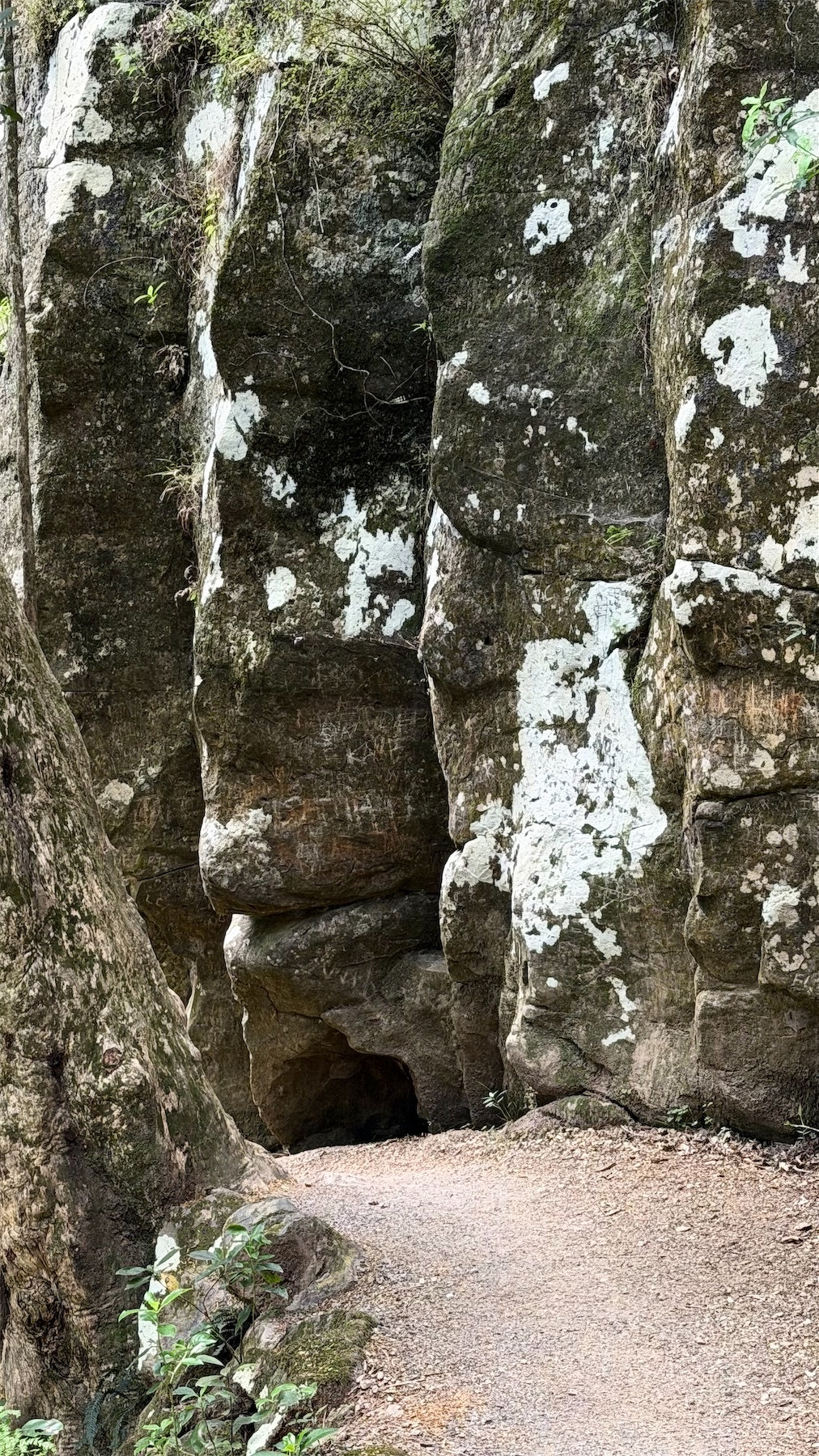 Close up of a rock formation that resembles a human head and face.