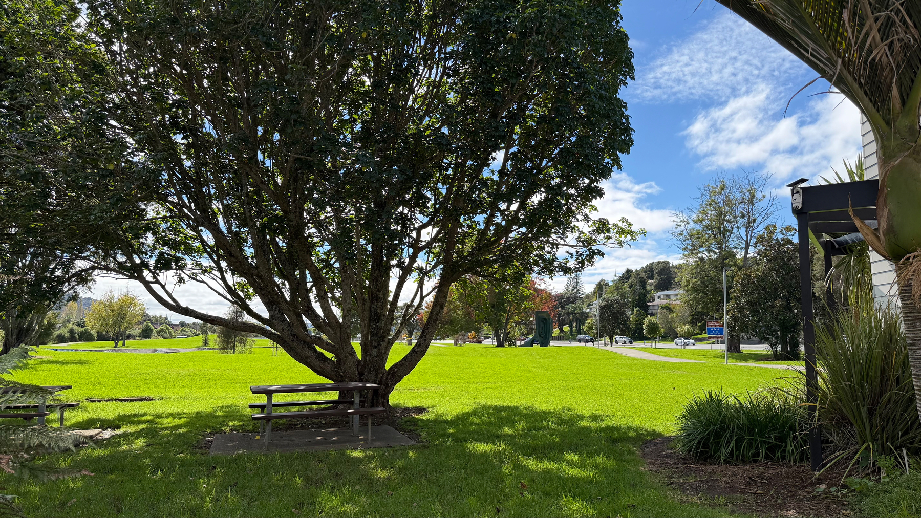 A lush green park with a large tree providing shade over picnic tables, set under a bright blue sky.
